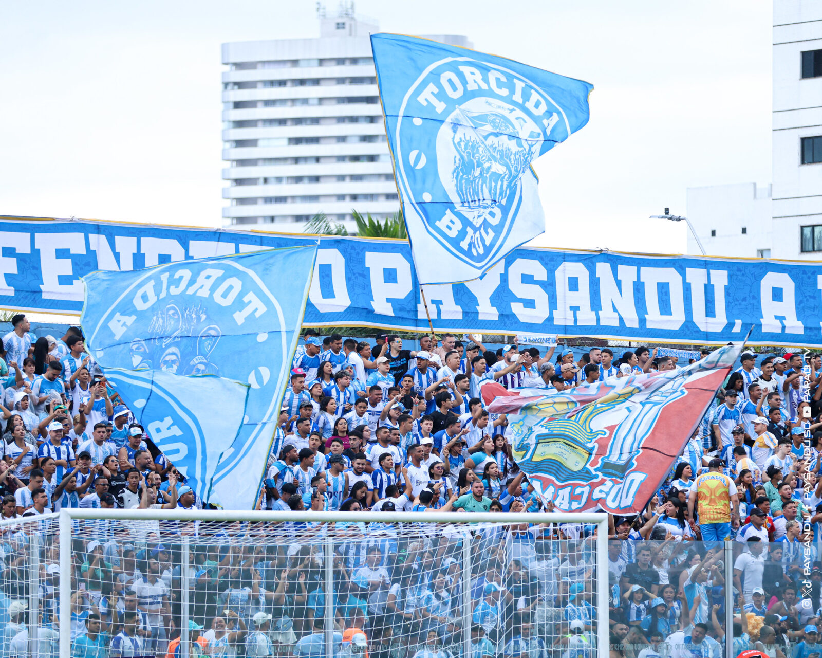 Paysandu abre venda de ingressos para decisão na Copa Norte