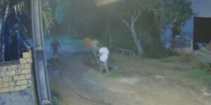 Detentos fugiram da Central de Custódia e quatro foram recapturados pela PM.