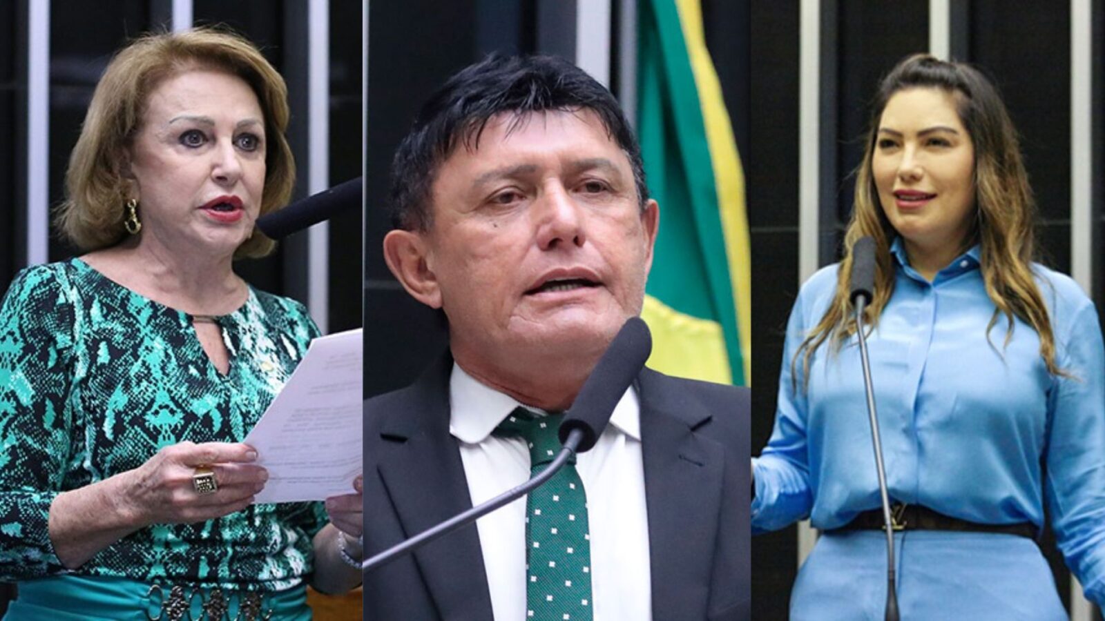 Parlamentares paraenses integram Comissão que analisa o PL.