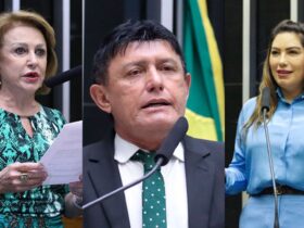 Parlamentares paraenses integram Comissão que analisa o PL.