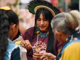 ​Com expectativa de 100 mil visitantes, feira impulsiona bioeconomia e turismo no Norte do Brasil.