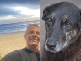 Imagem de Tony Marcos de Souza e do Cão Orelha.