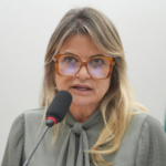 Relatora do projeto de lei Flávia Morais (PDT-GO)