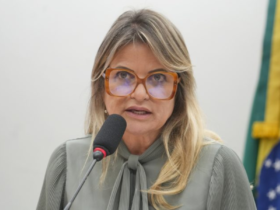 Relatora do projeto de lei Flávia Morais (PDT-GO)
