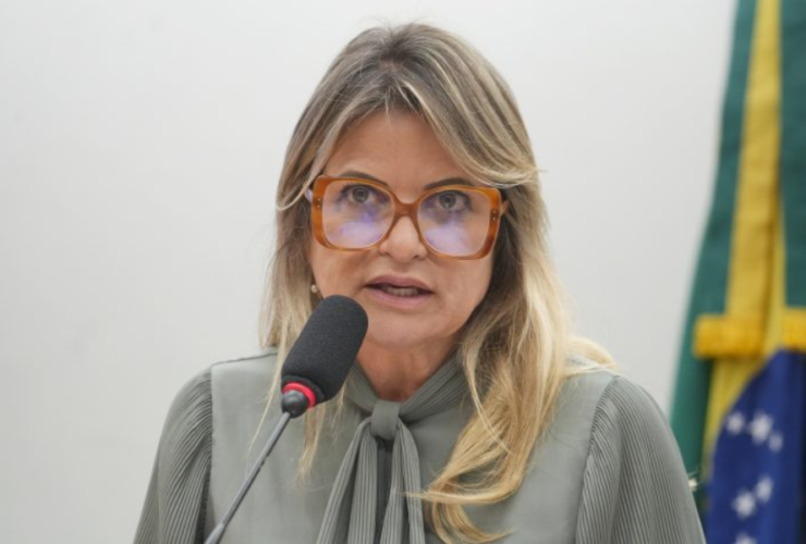 Relatora do projeto de lei Flávia Morais (PDT-GO)