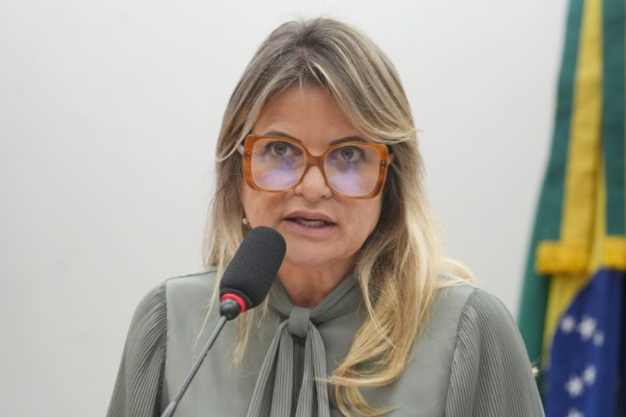 Relatora do projeto de lei Flávia Morais (PDT-GO)