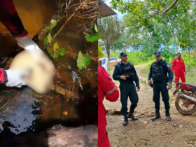 Imagens do local onde o corpo foi encontrado.