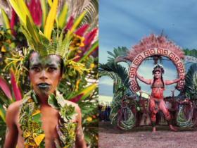 Imagens do Festival Rainha das Matas.