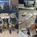 Registros da apreensão de drogas em Óbidos.