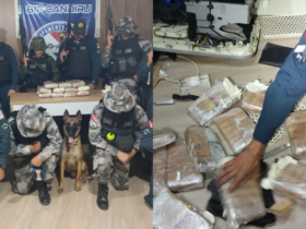 Registros da apreensão de drogas em Óbidos.