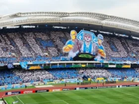 Torcida do Paysandu lança campanha para "festa gigante" contra o Vasco