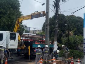 Moradores da avenida Pedro Miranda e redondezas, no bairro da Pedreira, em Belém, voltaram a ter energia elétrica na tarde deste domingo (19), após horas de instabilidade provocadas pela queda de uma mangueira de grande porte.