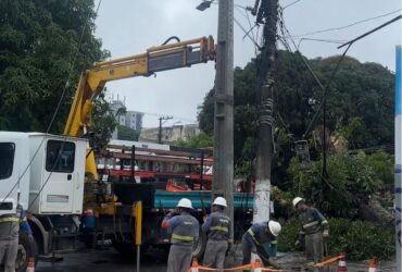 Moradores da avenida Pedro Miranda e redondezas, no bairro da Pedreira, em Belém, voltaram a ter energia elétrica na tarde deste domingo (19), após horas de instabilidade provocadas pela queda de uma mangueira de grande porte.