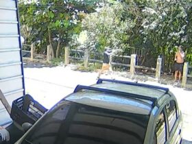 Crime foi registrado por câmeras de segurança.