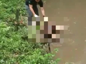 Populares precisaram amarrar o corpo a galhos para evitar que a correnteza o levasse antes da chegada das autoridades.