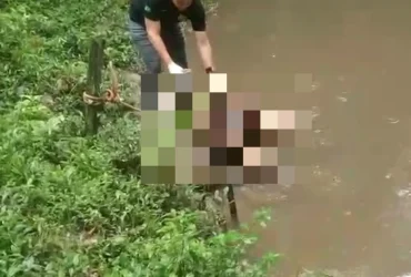 Populares precisaram amarrar o corpo a galhos para evitar que a correnteza o levasse antes da chegada das autoridades.