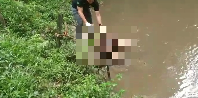 Populares precisaram amarrar o corpo a galhos para evitar que a correnteza o levasse antes da chegada das autoridades.