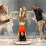 Museu das Ilusões chega a Belém e desafia seu cérebro com truques visuais.