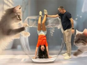 Museu das Ilusões chega a Belém e desafia seu cérebro com truques visuais.