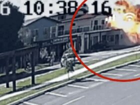 O monomotor atingiu a Avenida Valdomiro Cândido dos Reis; pilotos e passageiros estão entre as vítimas.