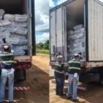 Carga de açaí iria para o Ceará e estava irregular.