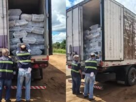 Carga de açaí iria para o Ceará e estava irregular.