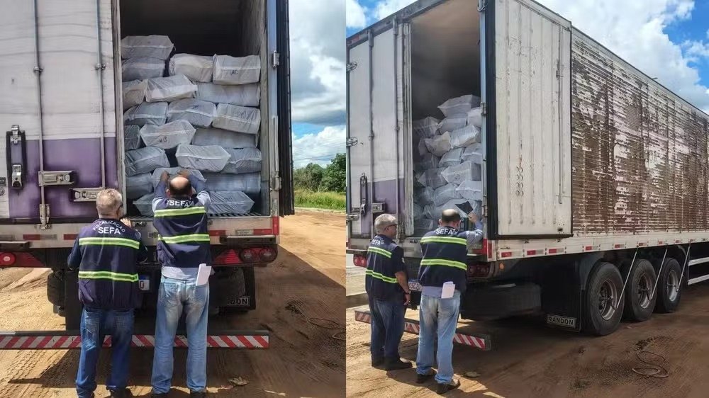 Carga de açaí iria para o Ceará e estava irregular.