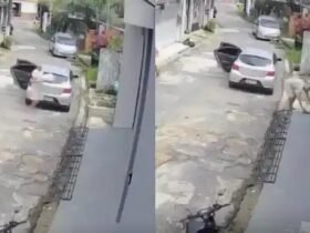 Câmeras de segurança flagraram o momento que o homem furta a encomenda de salgados.