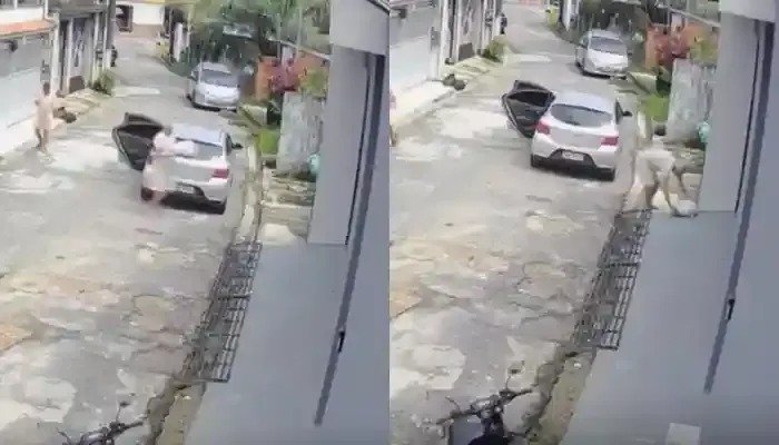 Câmeras de segurança flagraram o momento que o homem furta a encomenda de salgados.