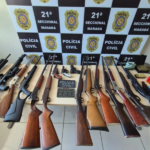 Armas apreendidas na operação.