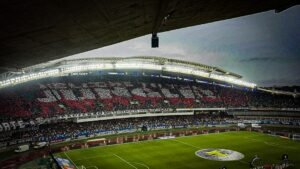 Mosaico dos torcedores do Remo no Mangueirão