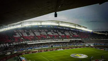 Mosaico dos torcedores do Remo no Mangueirão