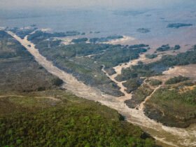 Salto das Sete Quedas, em disputa entre Pará e Mato Grosso