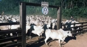 Decisão reconhece violações de direitos humanos ocorridas na Fazenda Vale do Rio Cristalino, em Santana do Araguaia, durante a década de 1980.
