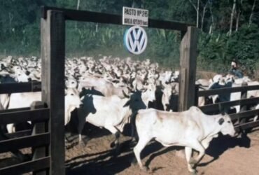 Decisão reconhece violações de direitos humanos ocorridas na Fazenda Vale do Rio Cristalino, em Santana do Araguaia, durante a década de 1980.