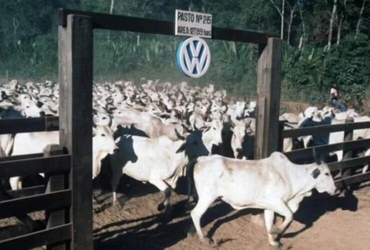 Decisão reconhece violações de direitos humanos ocorridas na Fazenda Vale do Rio Cristalino, em Santana do Araguaia, durante a década de 1980.