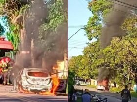 Veículo foi consumido pelas chamas entre as praias do Ariramba e São Francisco; causas do incêndio ainda serão investigadas.