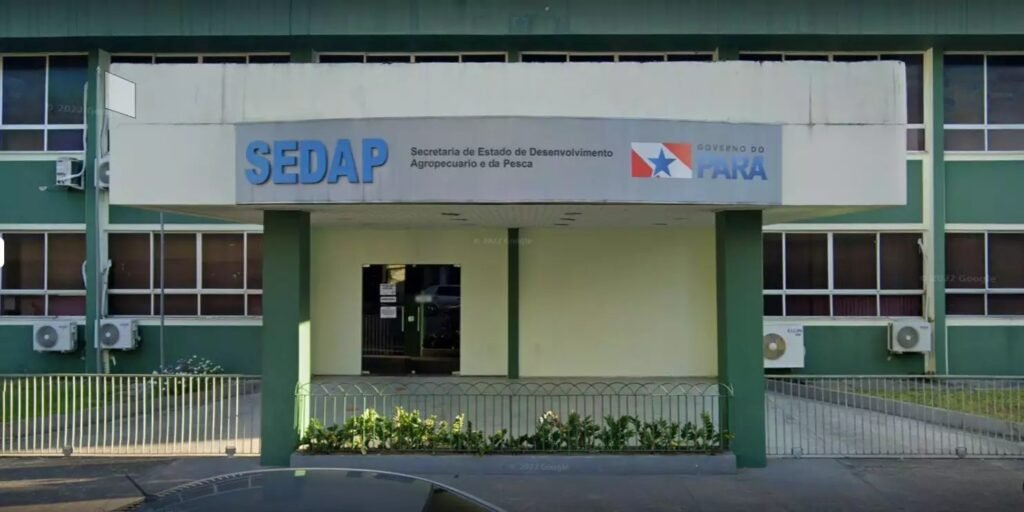 Inscrições gratuitas serão realizadas exclusivamente pela internet nesta sexta-feira (26), por meio da plataforma SIPROS PA.