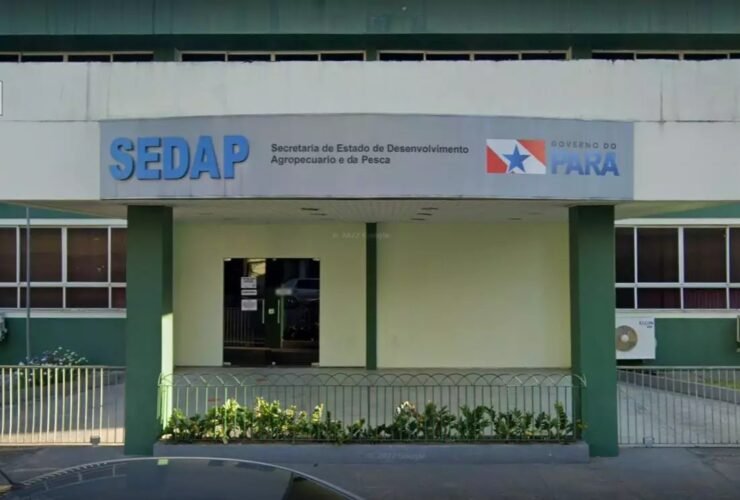 Inscrições gratuitas serão realizadas exclusivamente pela internet nesta sexta-feira (26), por meio da plataforma SIPROS PA.