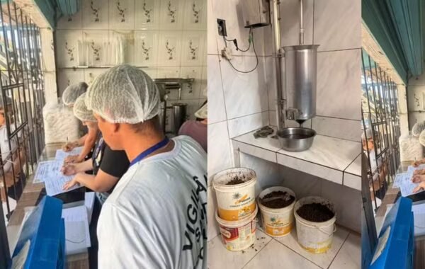 Operação do Ministério Público identificou irregularidades sanitárias em 20 pontos inspecionados; amostras do produto foram encaminhadas para análise laboratorial.