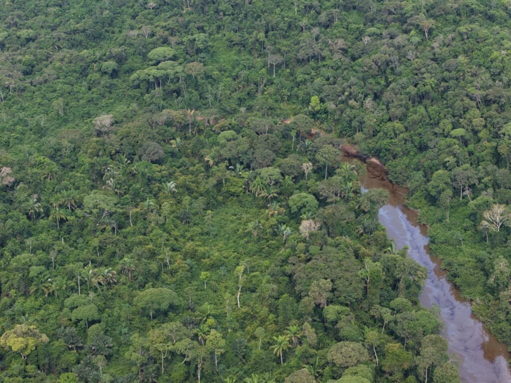 Carga de óleo tomba e contamina rio no Pará; PRF apura crime ambiental