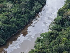 Carga de óleo tomba e contamina rio no Pará; PRF apura crime ambiental