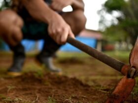 Ação civil pública aponta problemas sanitários e suposto descumprimento das normas de atenção à saúde mental; 42 acolhidos poderão receber assistência do Estado e do município.