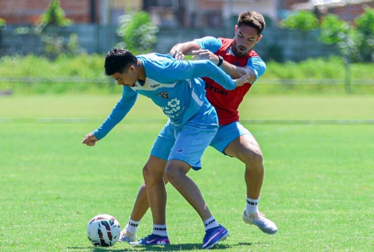 Caio Mello e Henrico