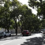 El Niño: guia mostra como Belém pode se preparar para desastres
