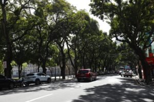 El Niño: guia mostra como Belém pode se preparar para desastres