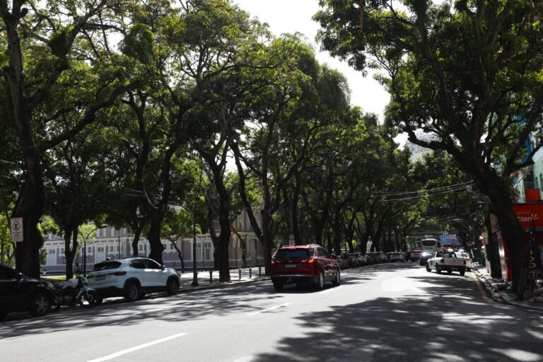 El Niño: guia mostra como Belém pode se preparar para desastres