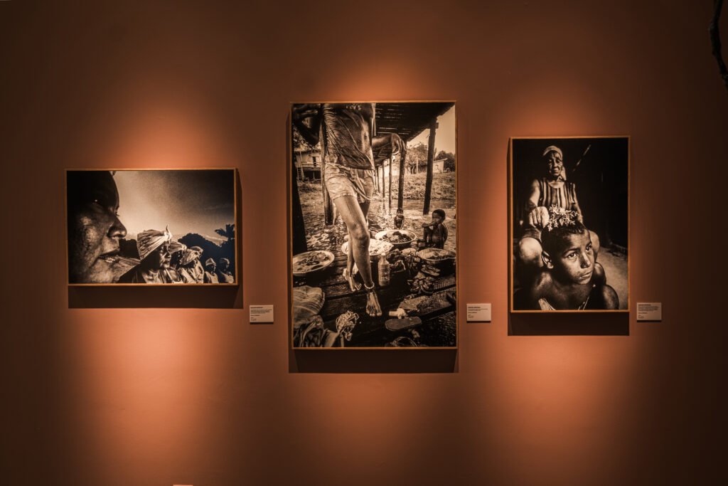 Das exposições à gestão: a trajetória de Dani Franco na cultura