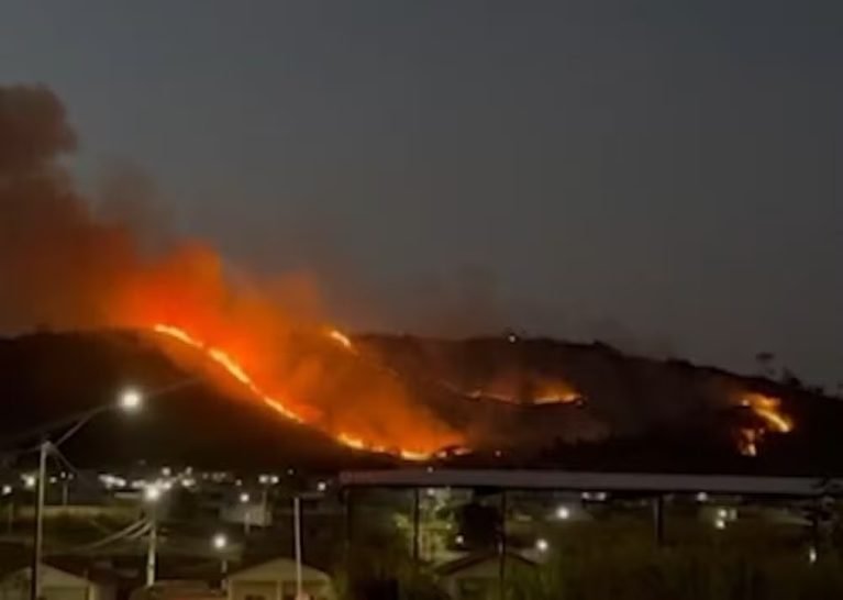 Equipes da Secretaria Municipal de Meio Ambiente e do Corpo de Bombeiros foram mobilizadas para combater as chamas; causa do incêndio ainda é investigada