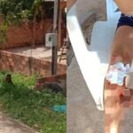Animal teria avançado contra o menino no bairro Curaxi; moradores afirmam que presença do macaco já havia sido comunicada às autoridades.